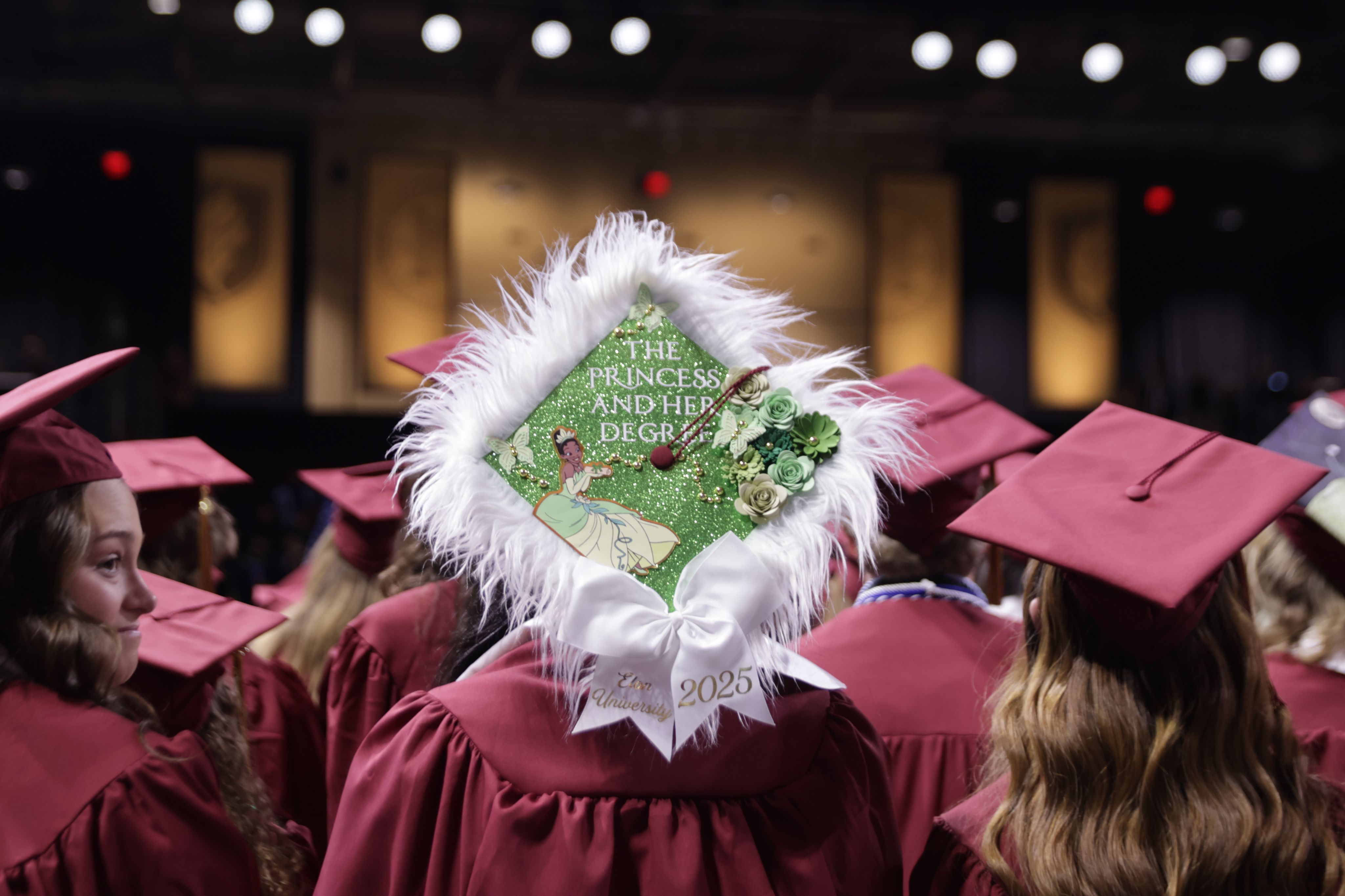 Two glowing jellyfish drift in the blue water.