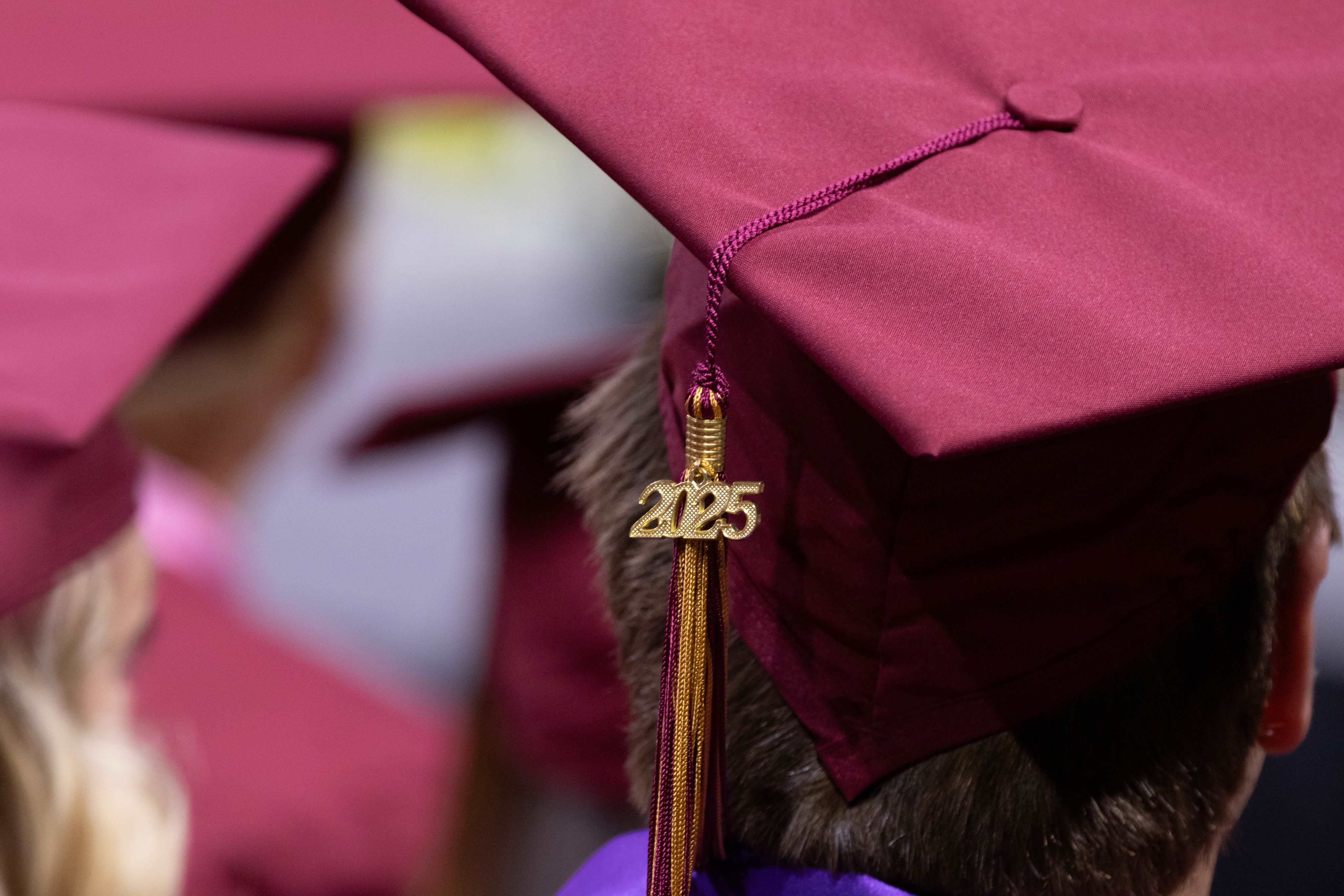 Two glowing jellyfish drift in the blue water.