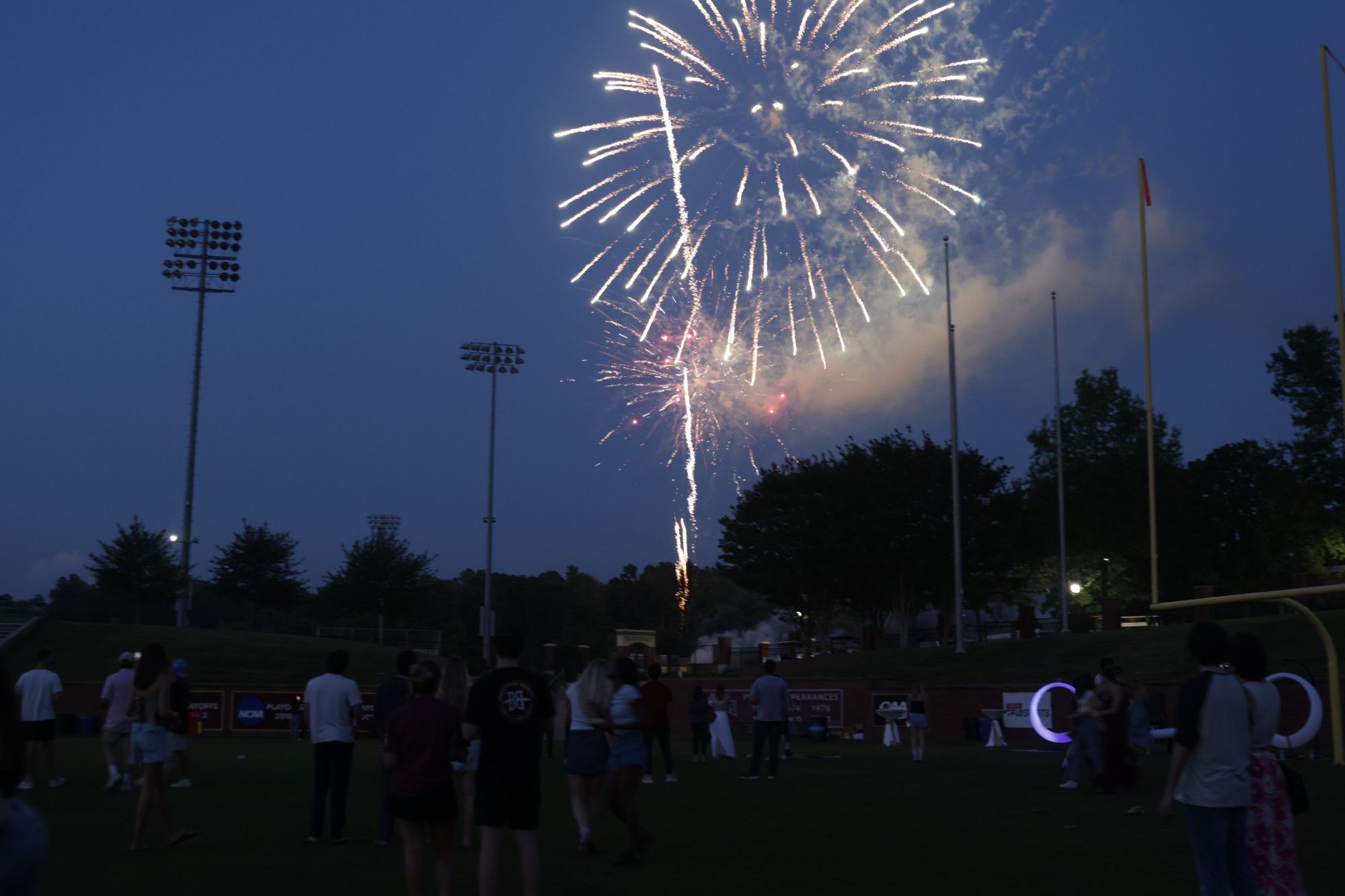 Two glowing jellyfish drift in the blue water.