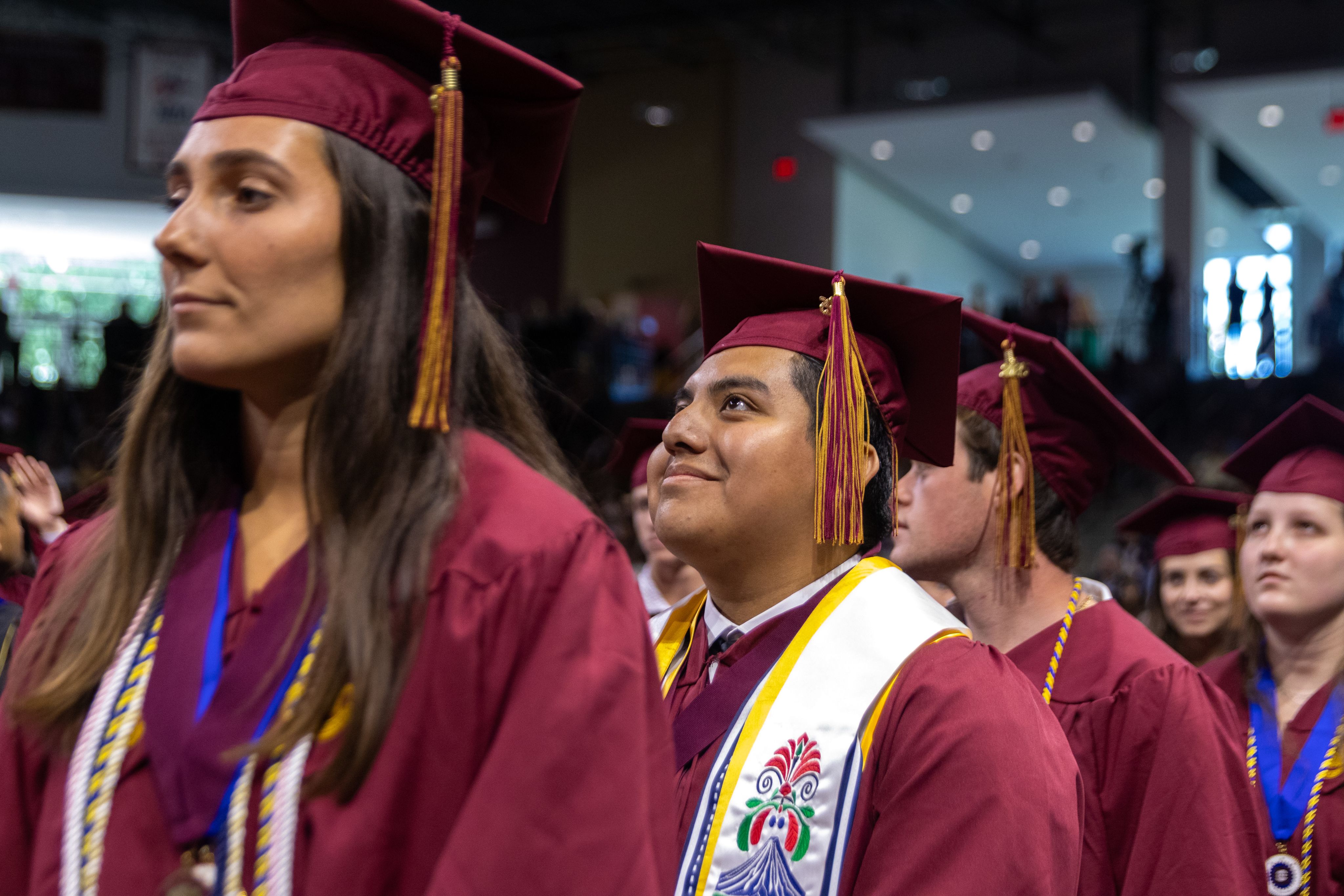 Two glowing jellyfish drift in the blue water.