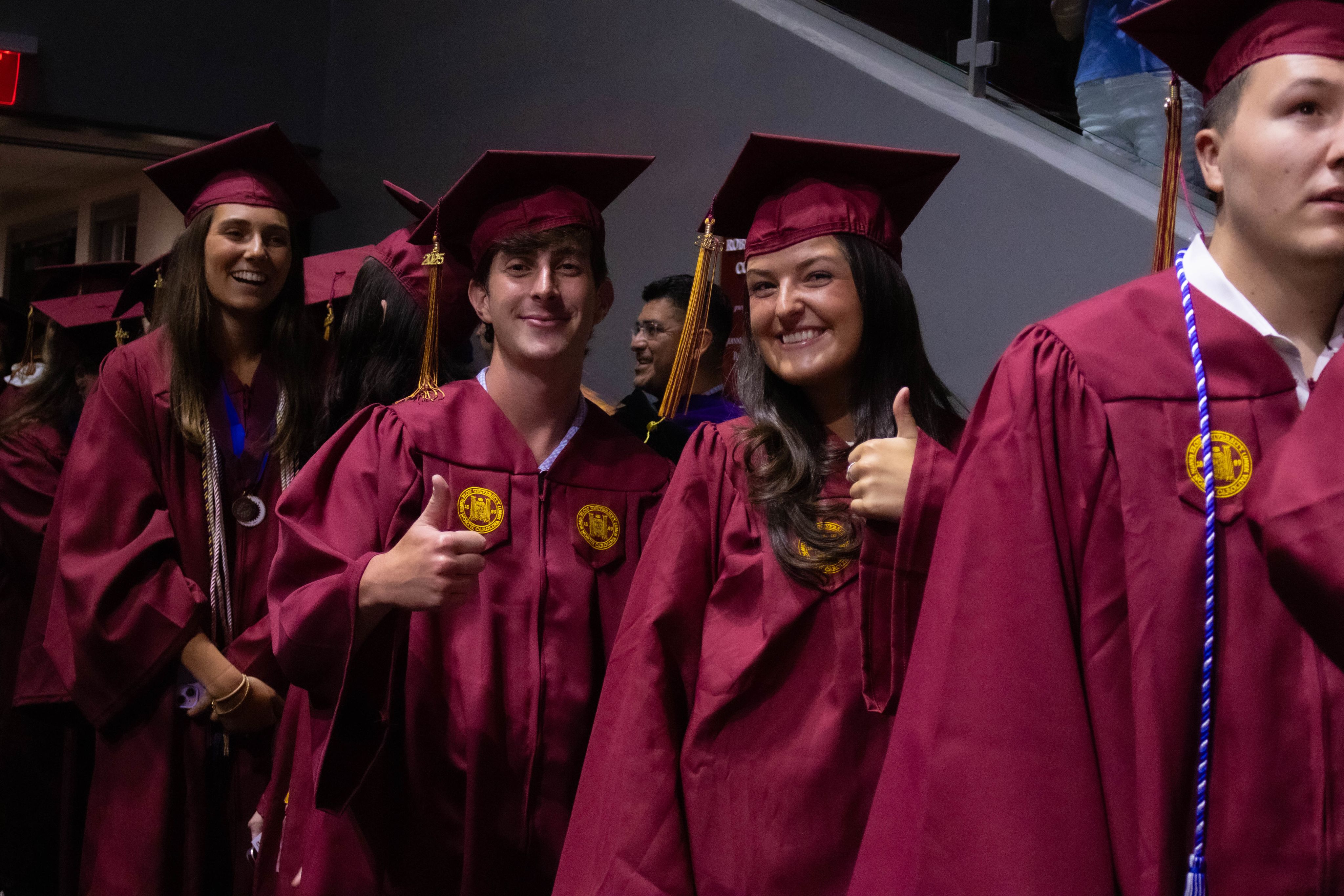 Two glowing jellyfish drift in the blue water.